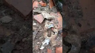 что можно найти возле дома .