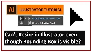 How to Solve Selection Tool issue when it not working or Scaling Your Objects in Adobe Illustrator