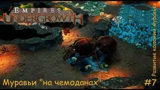 Empires of the UnderGrowth. Муравьи на чемоданах. #7
