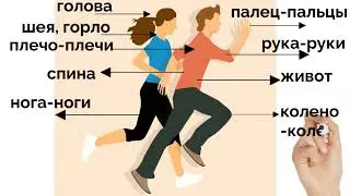 Части тела. Body parts. Körperteile.