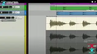 Watching: The Entire History of REAPER