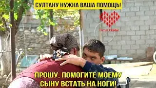 Поможем Султану вместе!