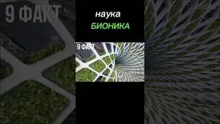 наука БИОНИКА 