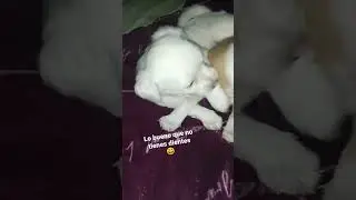 ¿Quién les hacía cosquillas?