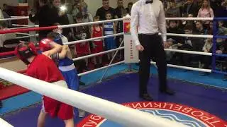 Открытый ринг по боксу в Островцах