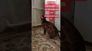ну что познакомились:) 😊 