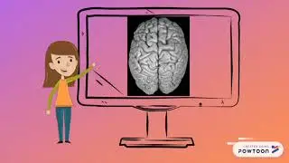 The 'Right-Brained' Myth