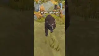Bruno's Story is TRAGIC