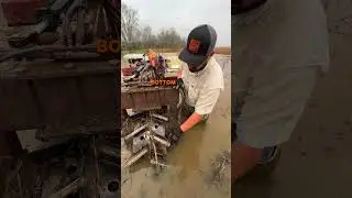 Do Crawfish Boats Crush Crawfish? 🦞🚣‍♂️