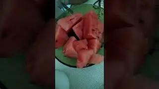 первые арбузы с ташкента