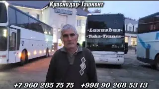 краснодар-ташкент автобус,Krasnodar-Tashkent avtobus,