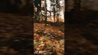 #fyp