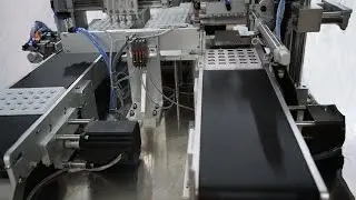 Linear Intelligent labeler machine coin battery label applicator demo máquina de etiquetado batería