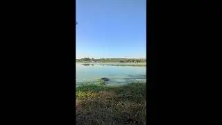 утро рыбалка на платнике