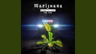 Marijuana