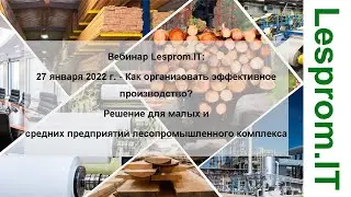 «Как организовать эффективное производство? Решение для малых и средних лесопильных предприятий»