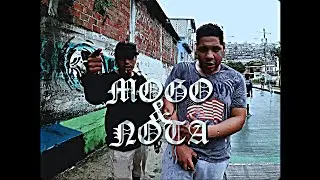 AMONIACO - MOGO & NOTA