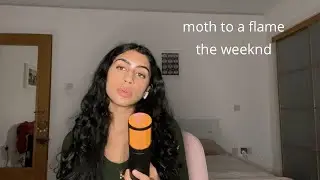 moth to a flame the weeknd cover