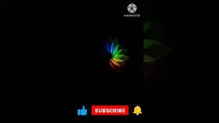 Amazing Flowers Design using Python turtle 