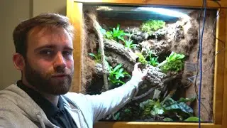 Public Service Announcement! - IT'S ALMOST TIME FOR GECKOS