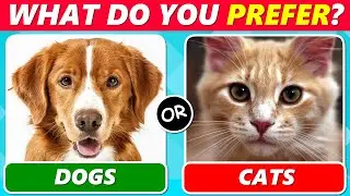 🐶 What Do You Prefer? Dogs or Cats? 🐱