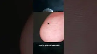 Самый маленький компьютер в мире…