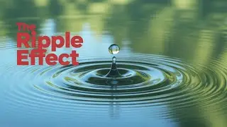 THE.DOX - CHAPTER 4: THE RIPPLE EFFECT