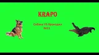 Собака VS Крокодил. Приколы и фейли №11