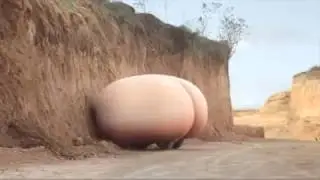Жопа и башмак!!!