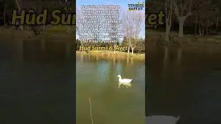 Yeryüzünde kıpırdayan hiçbir canlı yoktur ki, mutlaka onun rızkı Allah’a aittir./Hud suresi 6. ayet/