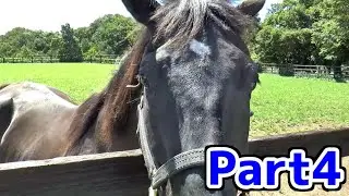 【旅動画】ぶーチャンネル北海道旅行編【Part4】