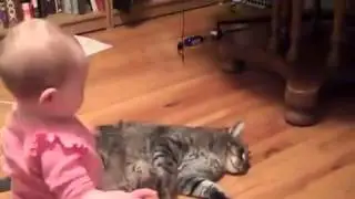 Кошка вместо подушки