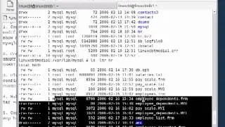 34 Mysql Database Replication