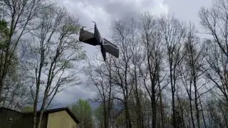 Parrot Swing drone demo
