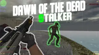 Counter-Strike 1.6 Zombie сервер #140 DAWN OF THE DEAD | ZOMBIE RIOT | STALKER