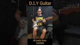 DIY Electric Guitar \\ Less than PHP 20k