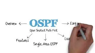 1. ospf  - Part 1 basic  ( understand OSPF via Animation visual form) 
