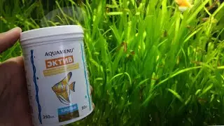 Тест сухого корма от Акваменю