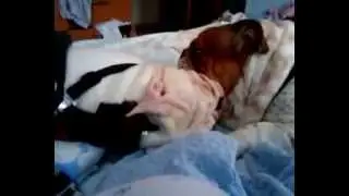 Covert Doggy Porn, LOL