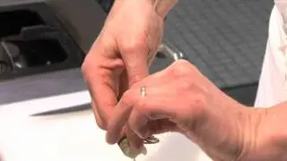 How to shell and de vein prawns