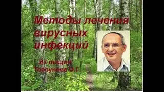 Методы лечения вирусных инфекций. Из лекции Торсунова О.Г.