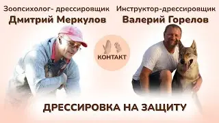 Дрессировка на защиту. Дмитрий Меркулов. Валерий Горелов
