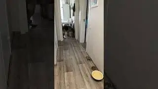 Oh, you’re such a sweetheart!