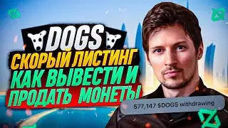 DOGS ЛИСТИНГ, ПОЛНАЯ ИНСТРУКЦИЯ | DOGS AIRDROP 2024