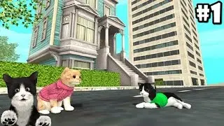 Cat Sim Online: Play with Cats By Turbo Rocket Games - Android / iOS - Gameplay Episode 1