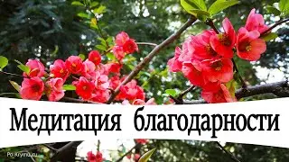Слова благодарности . Медитация Благодарности. - YouTube