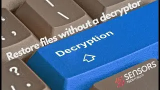 Restore Files Encrypted by Ransomware [No Decryptor]