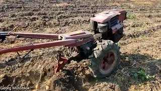 Сезон копати картоплю по важкому грунті