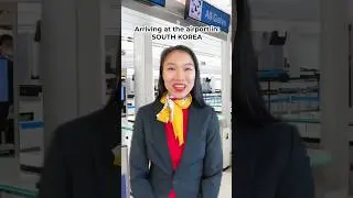 Arriving at the airport in different countries 🇦🇺🇺🇸🇰🇷 #comedy