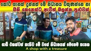 ගාඩ් එකක් නැතිව නිධානයක් මේ වගේ තැනක ප්‍රසිද්ධියේ | ඔයා මේවා දකින පළමු වතාව | Padeniya Antiques Shop